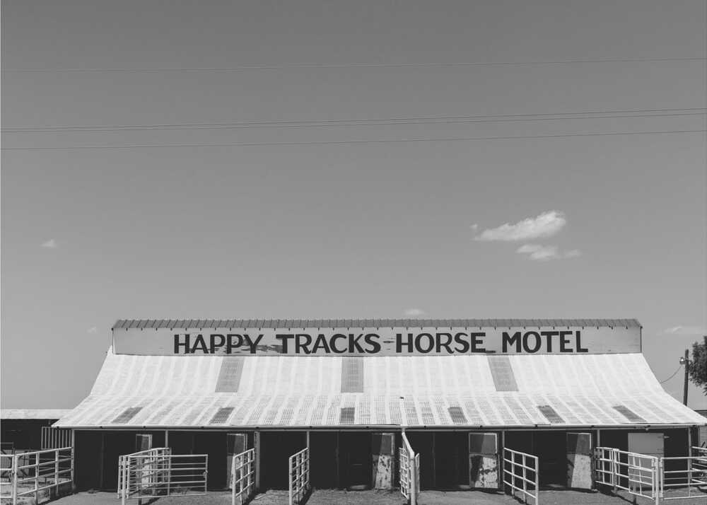 Horse Motel | Poster