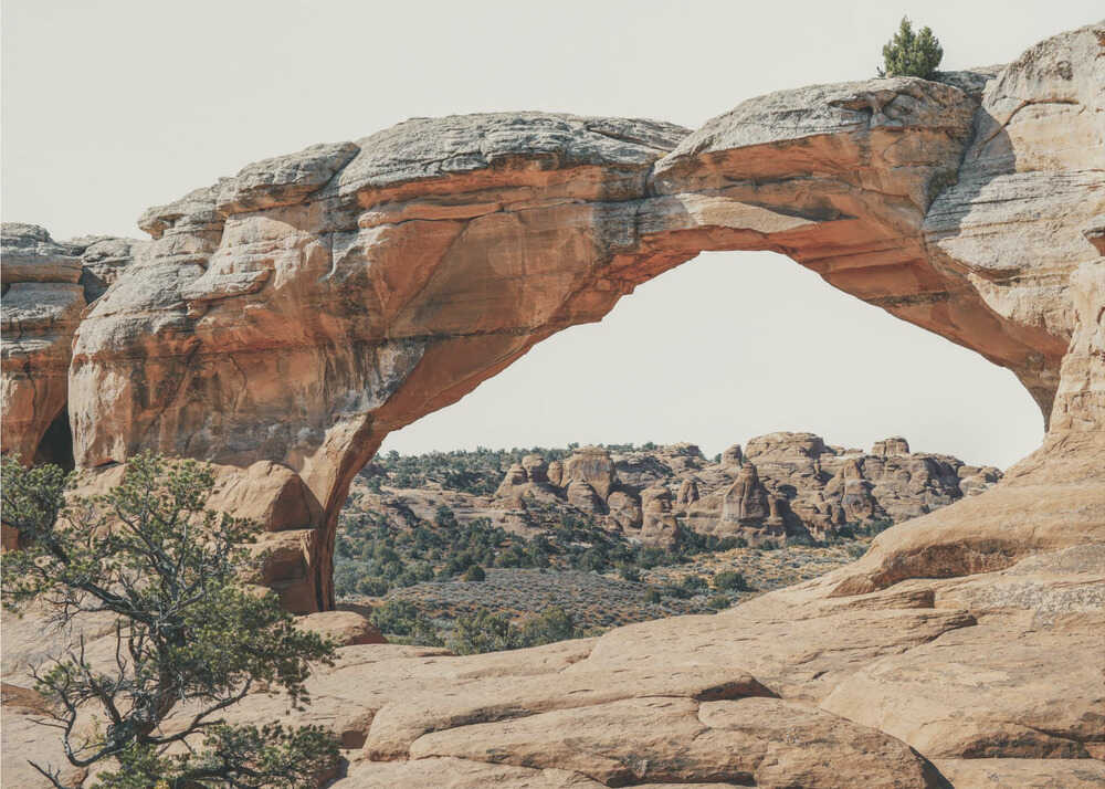 Vue vers l'ouest | Affiche