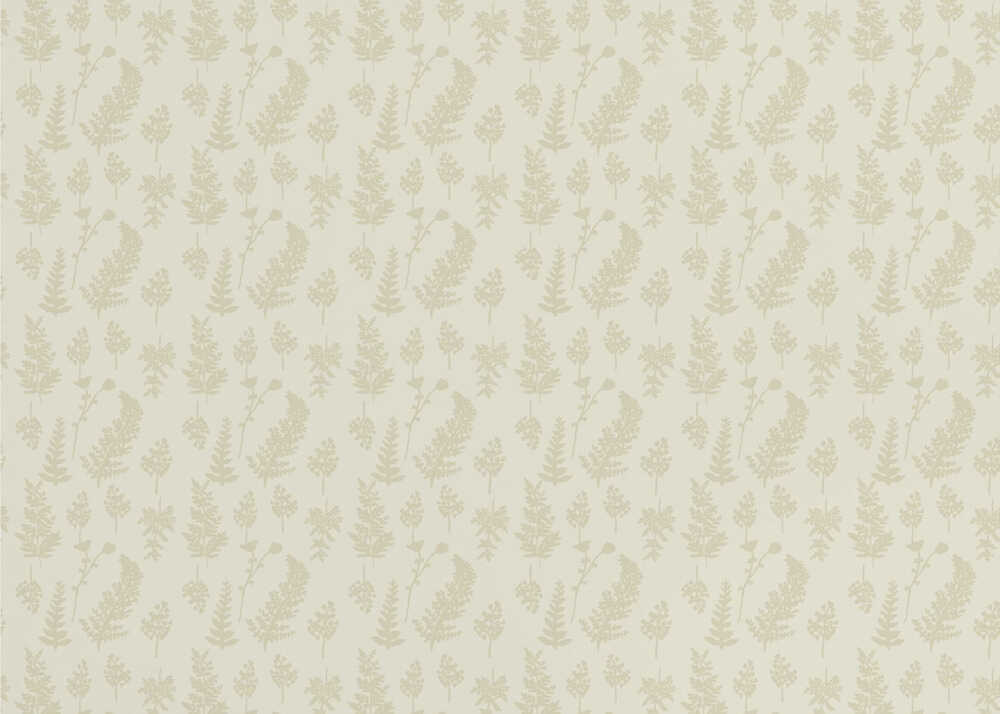 Botanischer Garten | Hintergrundbild