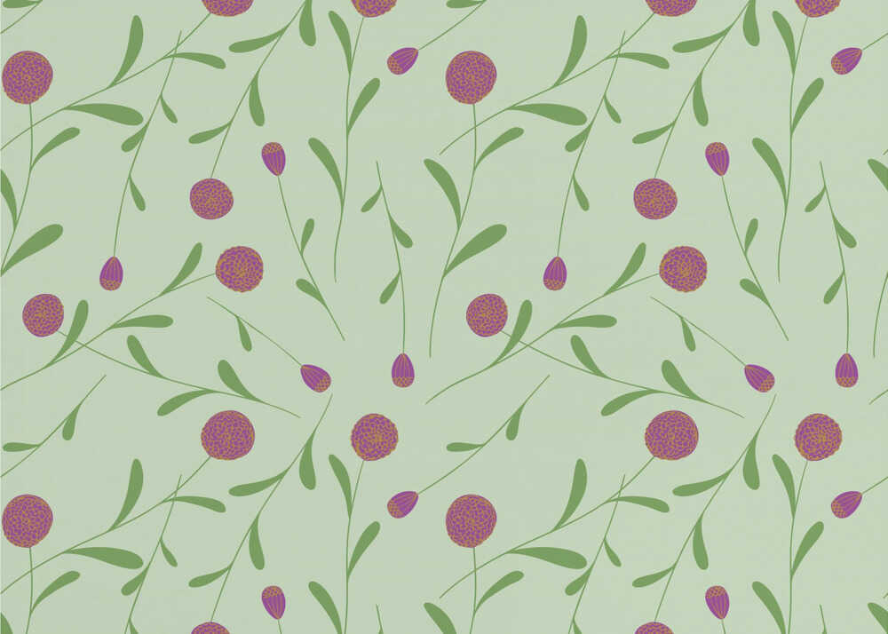 Pompom Flower Green and Pink Hw | Wallpaper