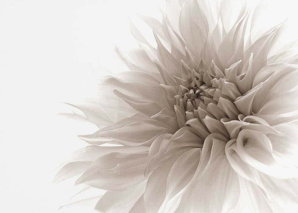 würdevoll | Leinwand