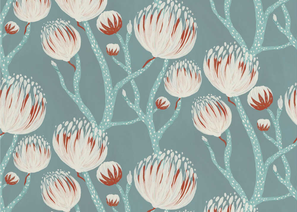 Dreamy Protea Blooms | Wallpaper