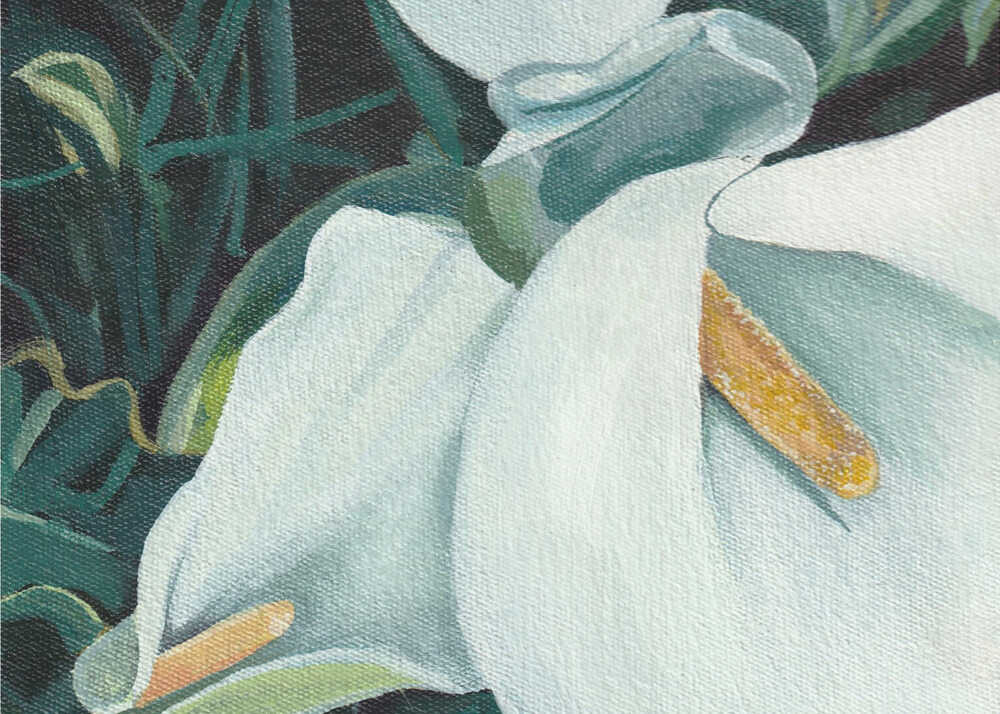 Small Arum 2 von Viccy Wanliss | Leinwand