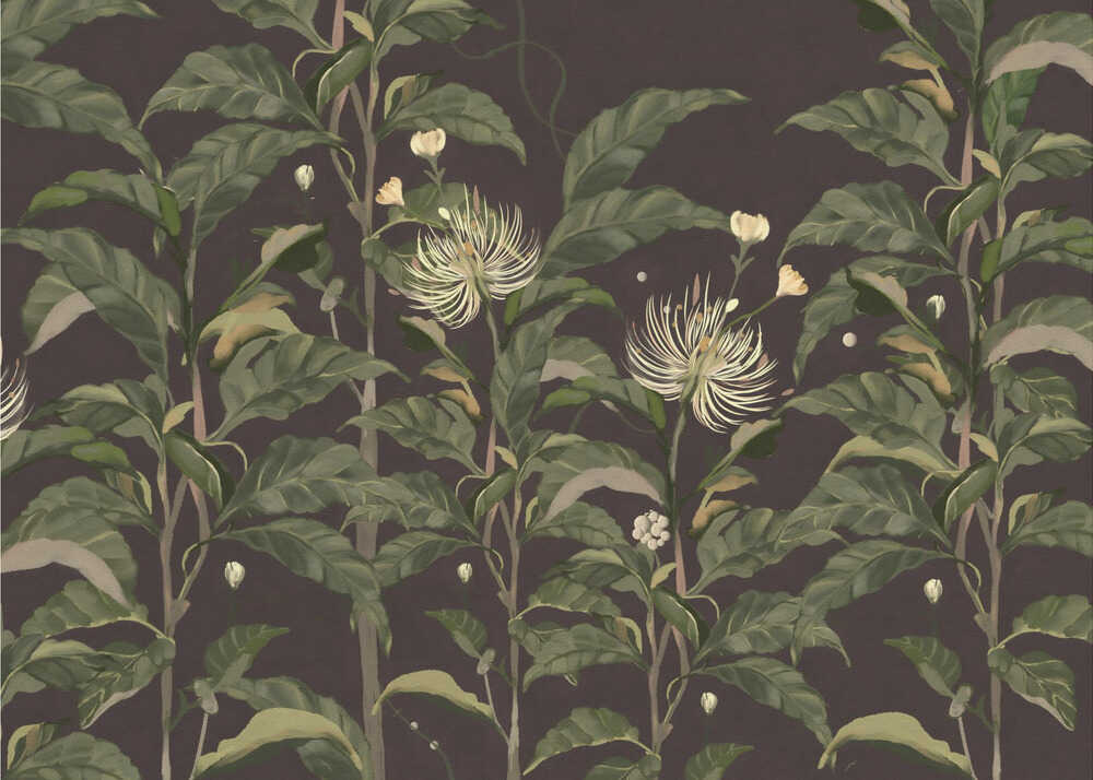 Sivera Midnight | Poster