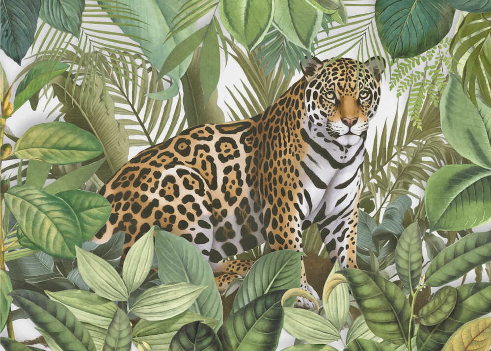 Guépard dans la jungle | Affiche