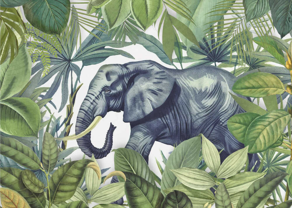 Elephant Jungle | Poster