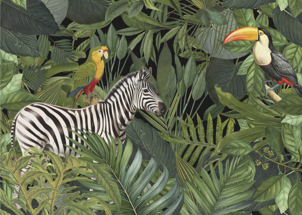 Zebra and Friends | Poster