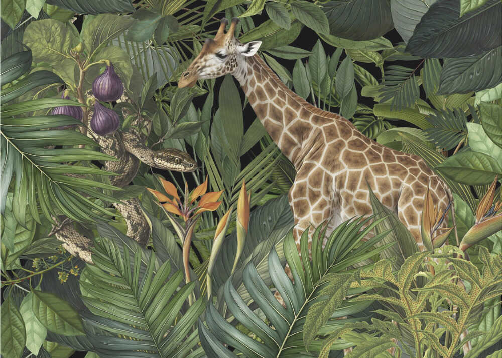 Giraffe und Schlange | Leinwand