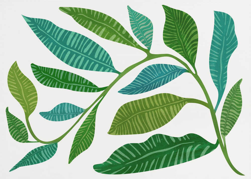 Lets Go Botanical | Canvas