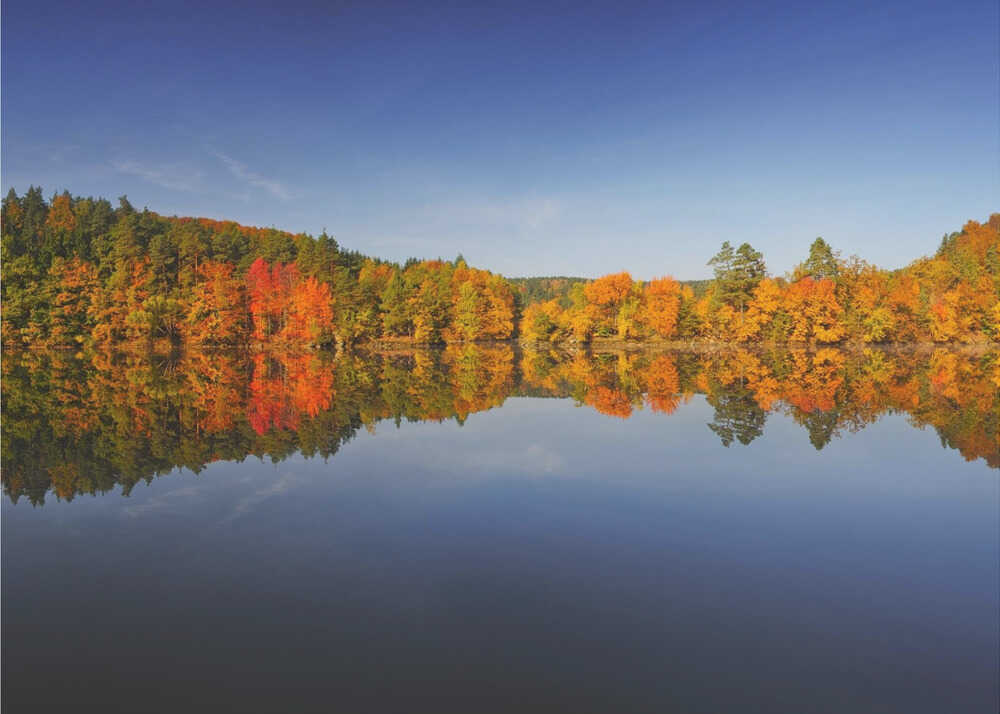 Herbst | Hintergrundbild