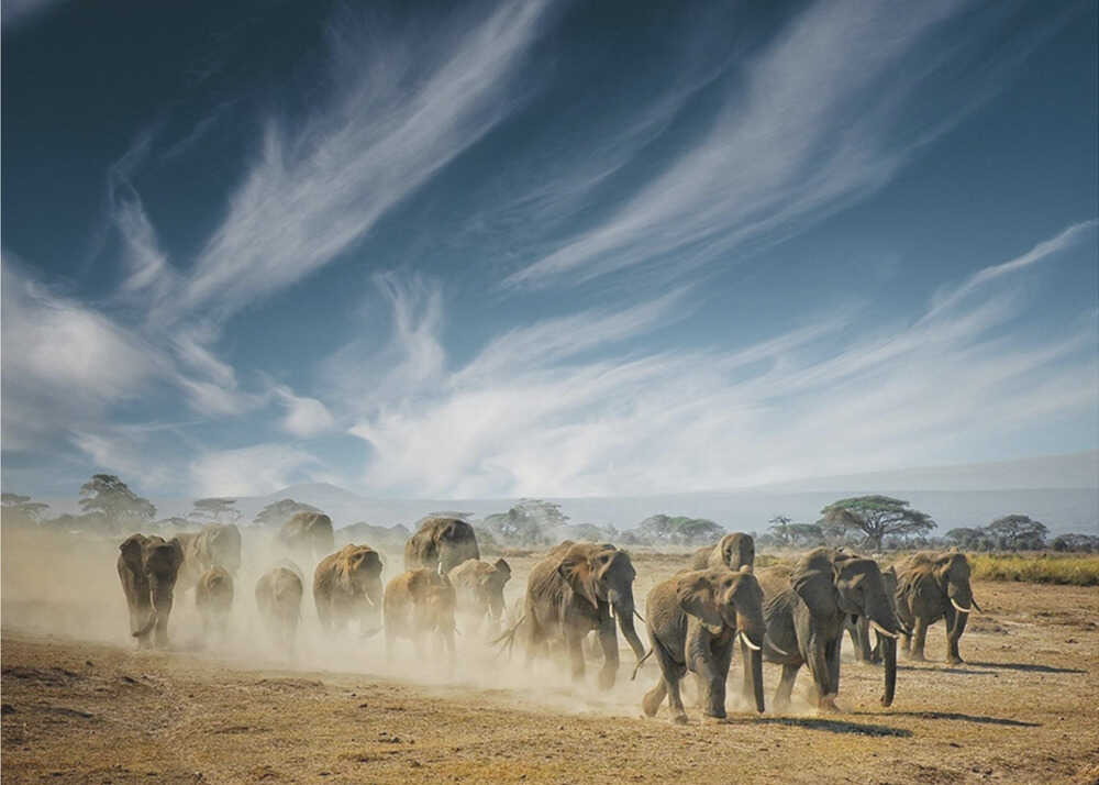Sehr langes Nachdenken | Hintergrundbild