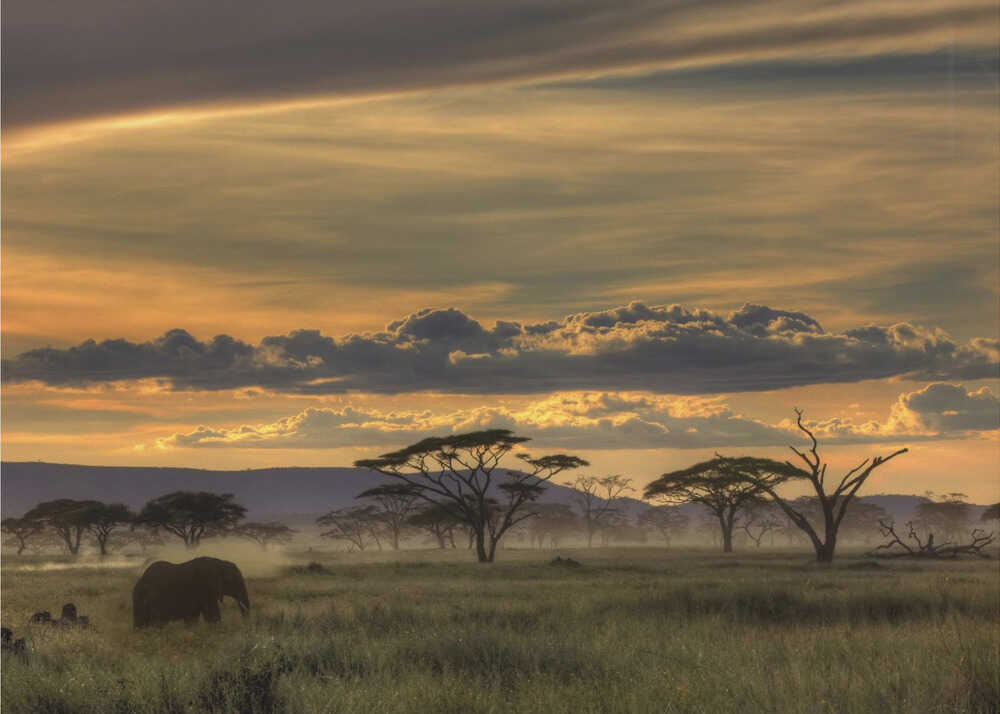 Afrika | Hintergrundbilder