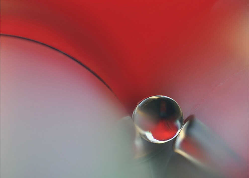 Zwischen | Hintergrundbild