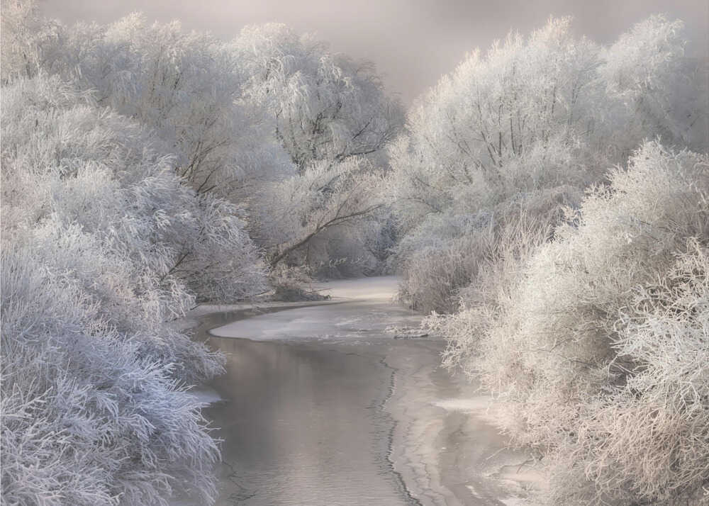 Winter Song | Wallpaper