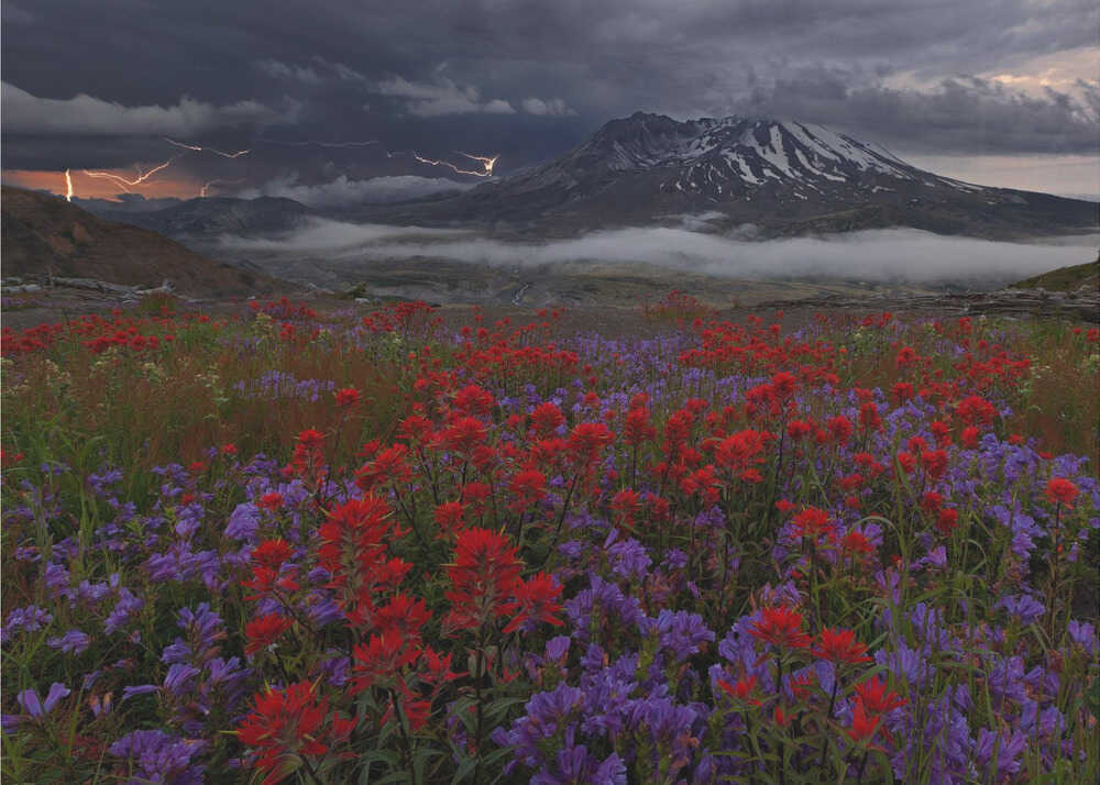 Apocalypse Now | Hintergrundbild