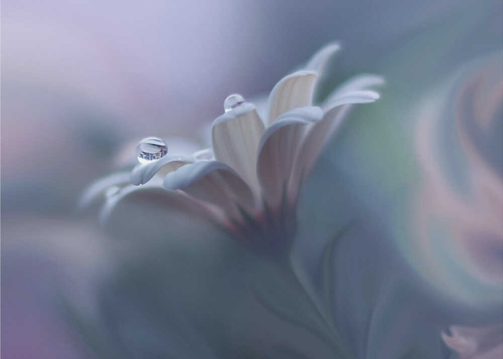 Hinter geschlossenen Augen... | Hintergrundbild