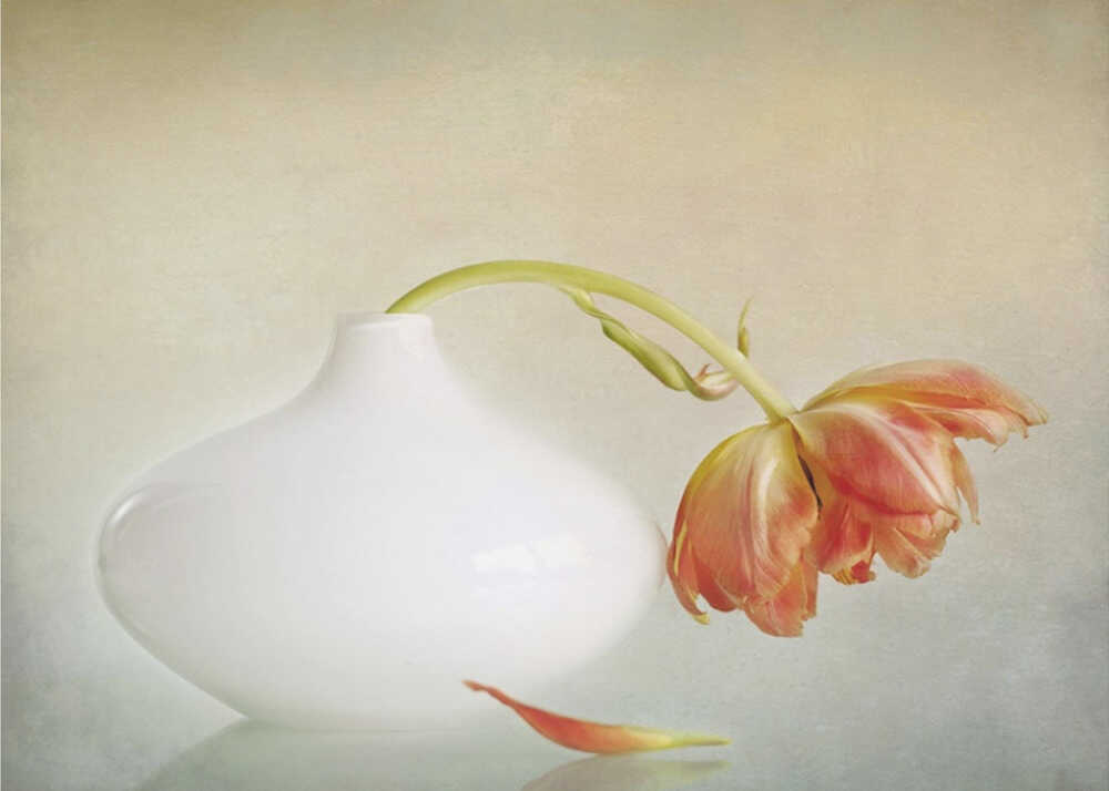 2lip | Hintergrundbild