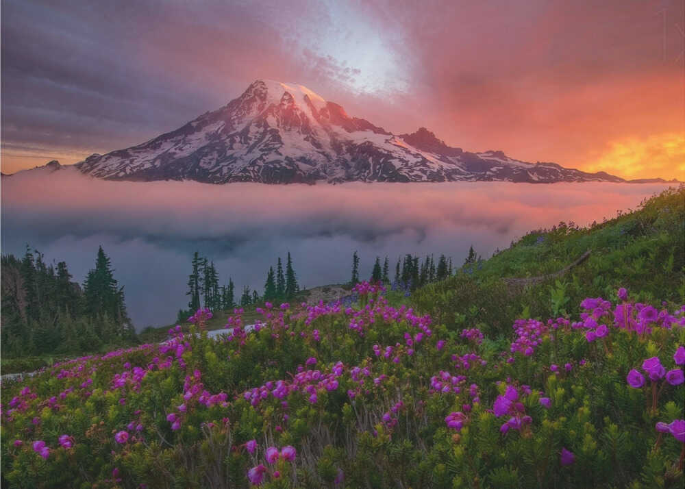 Ein Augenblick in der Zeit | Hintergrundbild