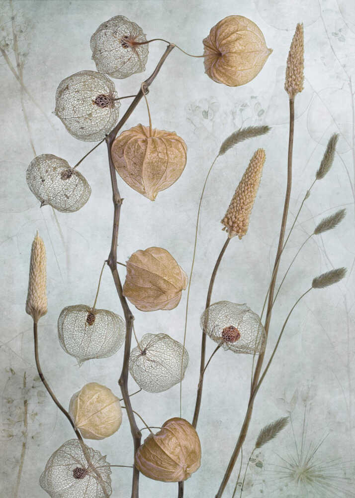 Laternen* | Leinwand