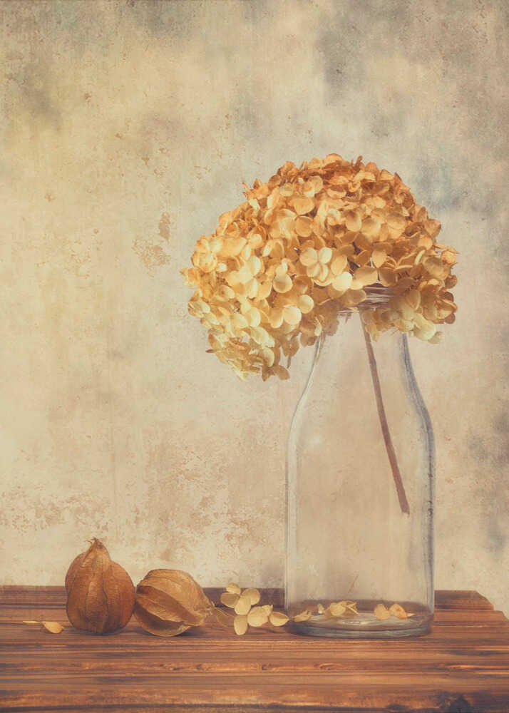 Warmes Leuchten | Leinwand