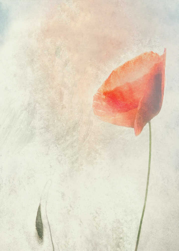 Wir sollten nicht schlafen... | Poster