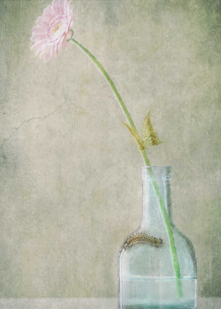 Ein ruhiger Sommertag | Poster