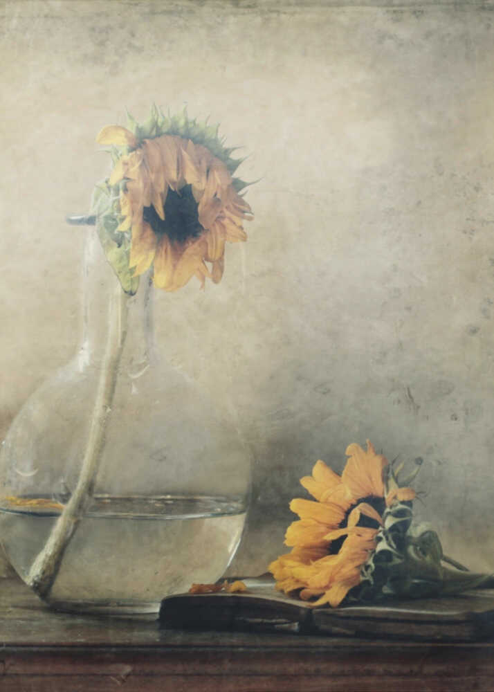 Bevor ich verwelke... | Leinwand