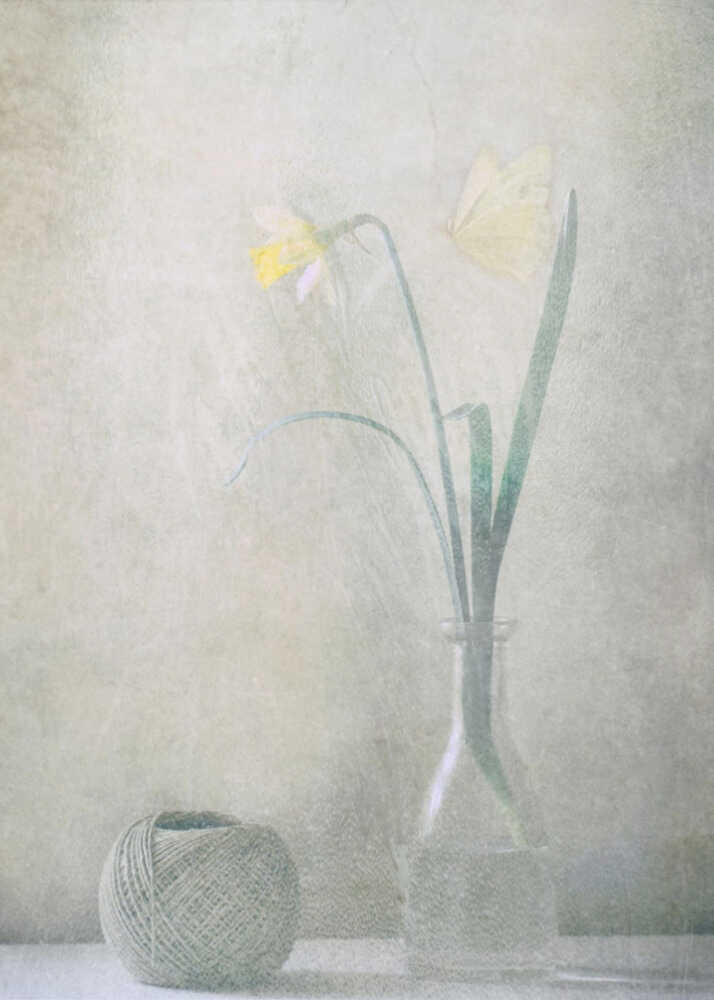 Spring at Home | Poster