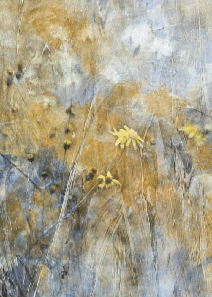 Un temps de liberté | Canvas