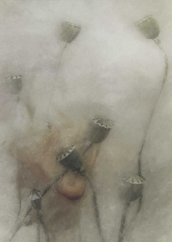 hopeful future | Poster