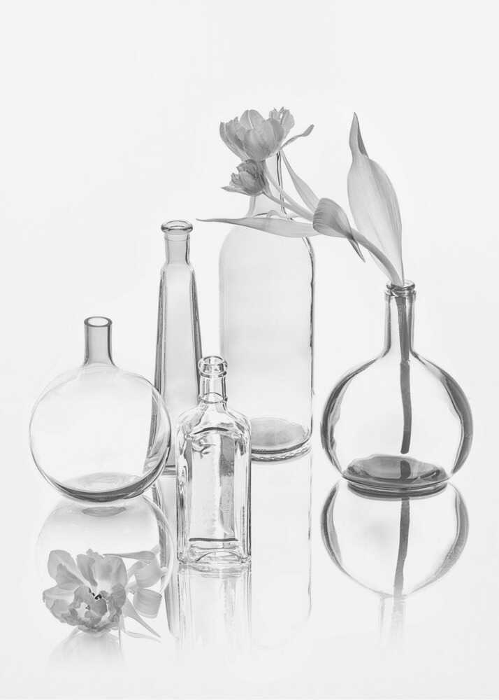 Transparenz | Leinwand