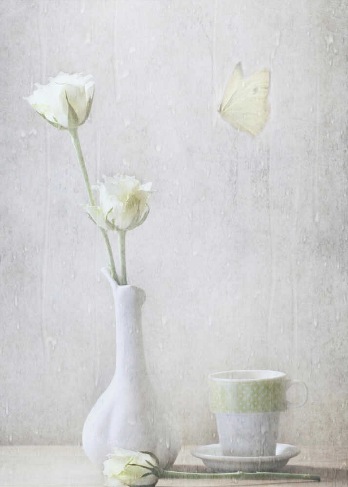 Pétales blancs et doux | Affiche