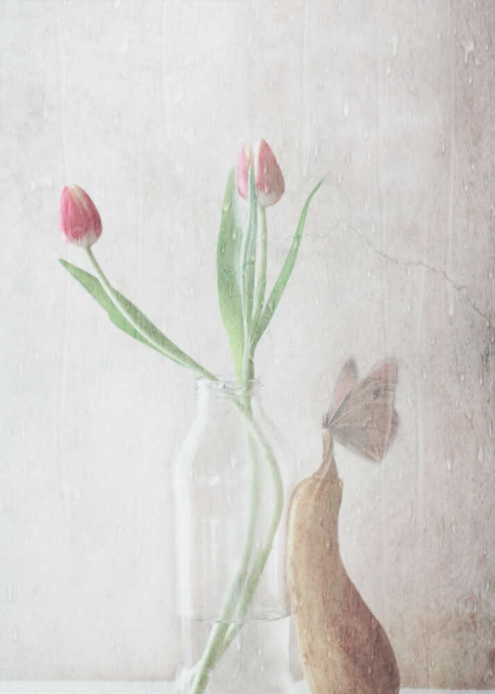 Le crépitement de la pluie | Affiche