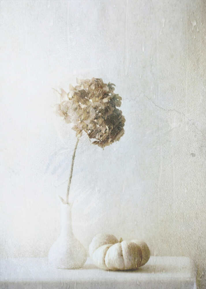 Ambiance automnale | Affiche