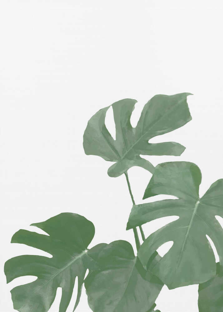 Monstera Aqua 04 | Leinwand