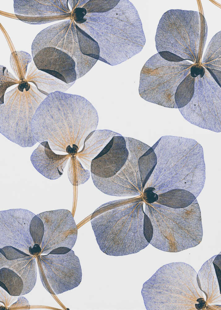 Botanik Nr. 37 | Leinwand