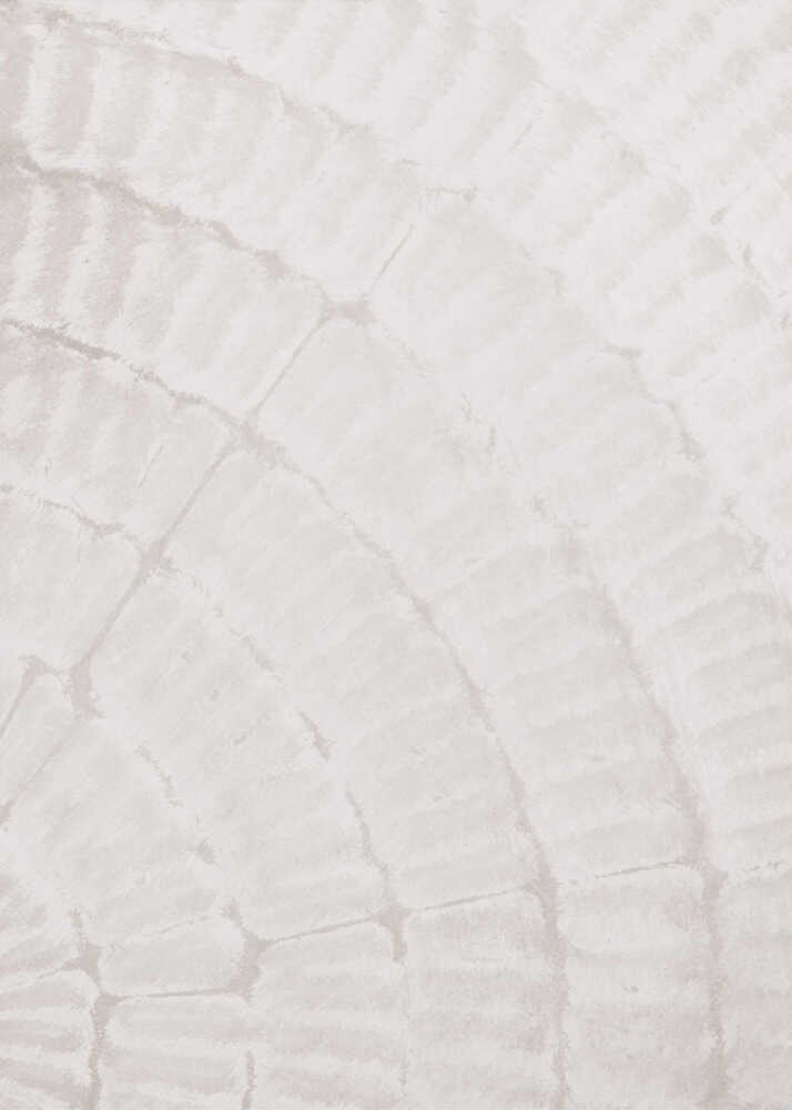 Musterplatte_beige_2 | Poster