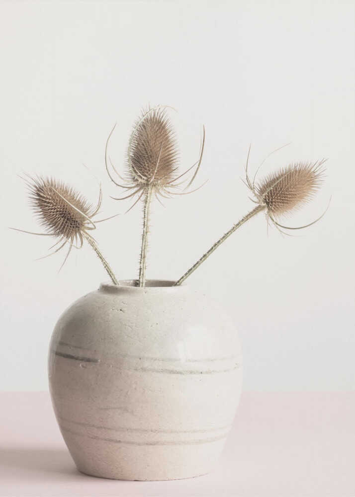 Fleurs séchées en vase | Affiche