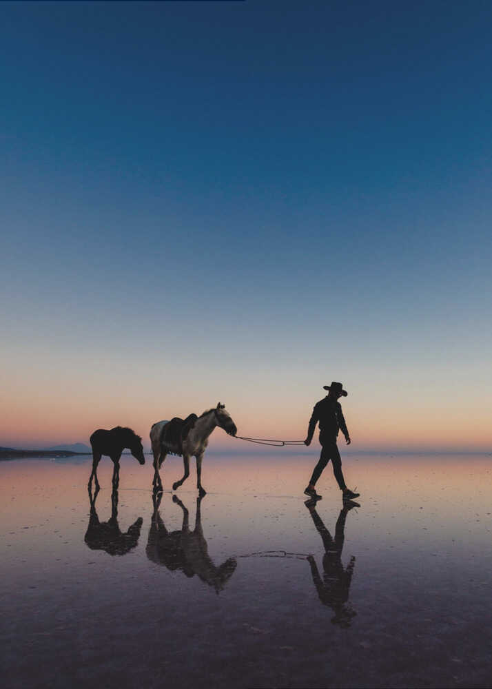 Sans titre | Affiche