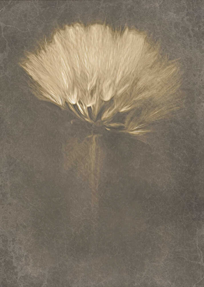 Jours mystérieux | Affiche