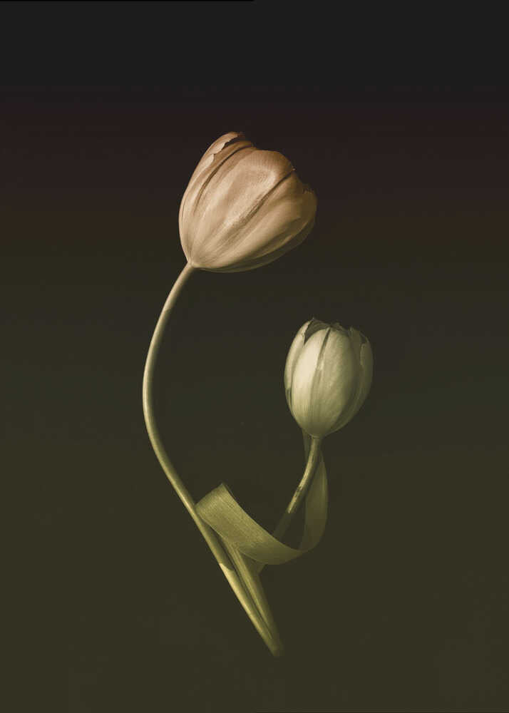 A Mother's Love | Canvas