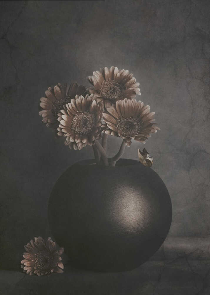 Wandernde Schatten | Leinwand