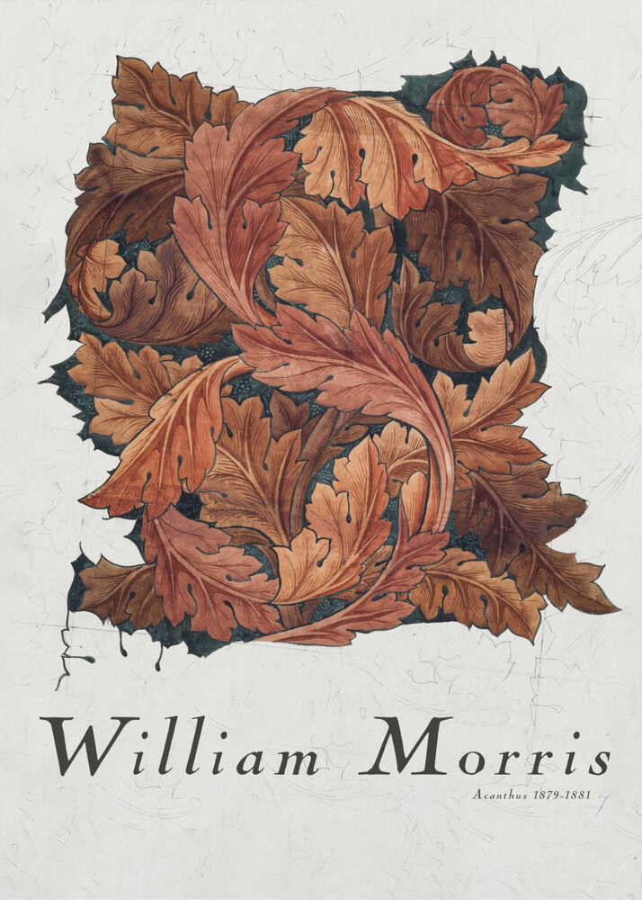 Akanthus | Poster