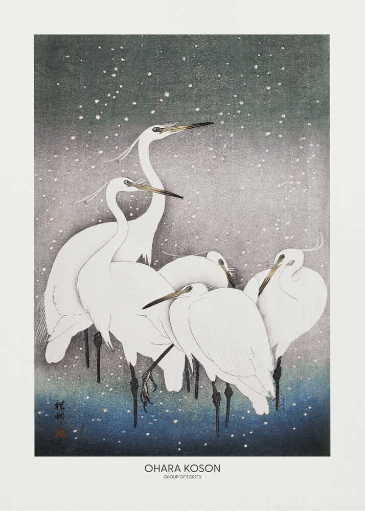 Group Of Egrets | Poster