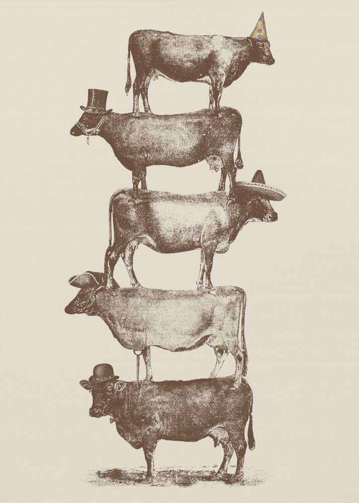 Cow Cow Nuts | Poster