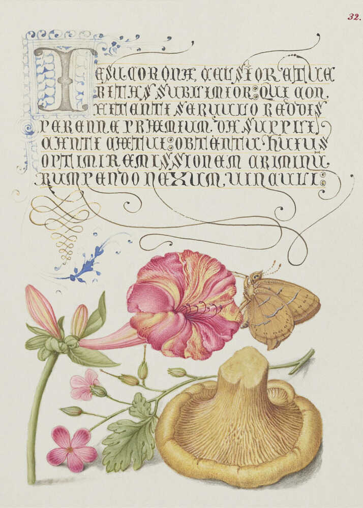 Mira Calligraphiae Monumenta | Poster