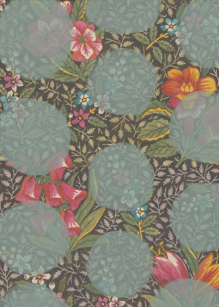 Fleur colorée | Affiche