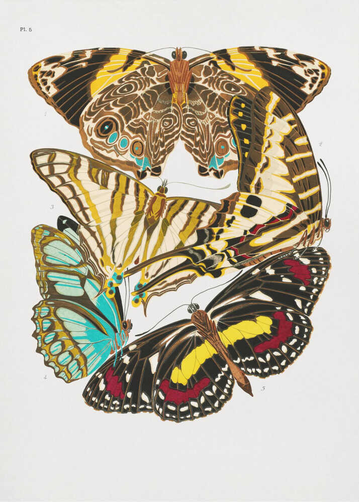 Butterflies 10 | Poster