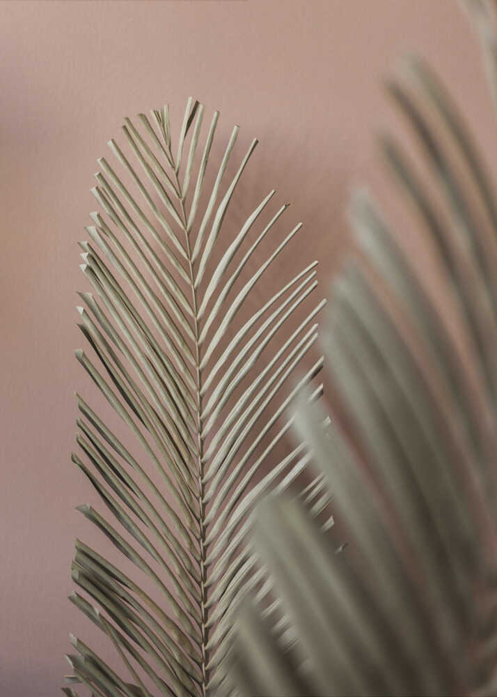 Dernier été 25 | Affiche