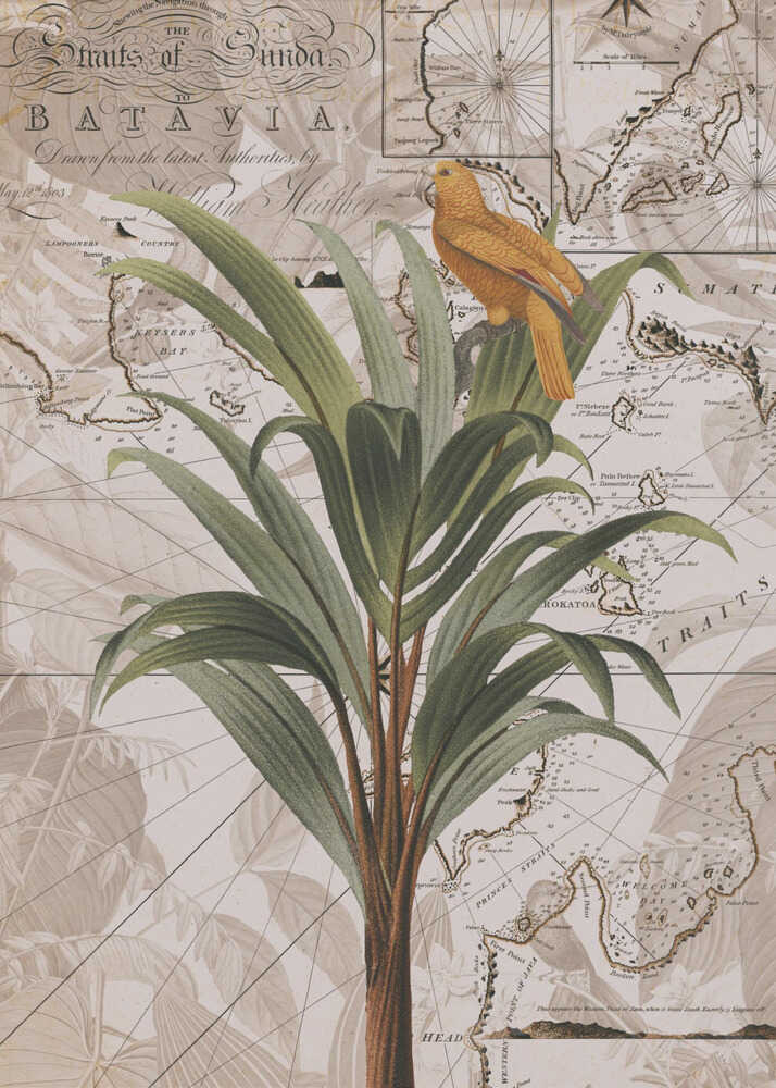 Indonesia Jungle Paradise No2 | Canvas